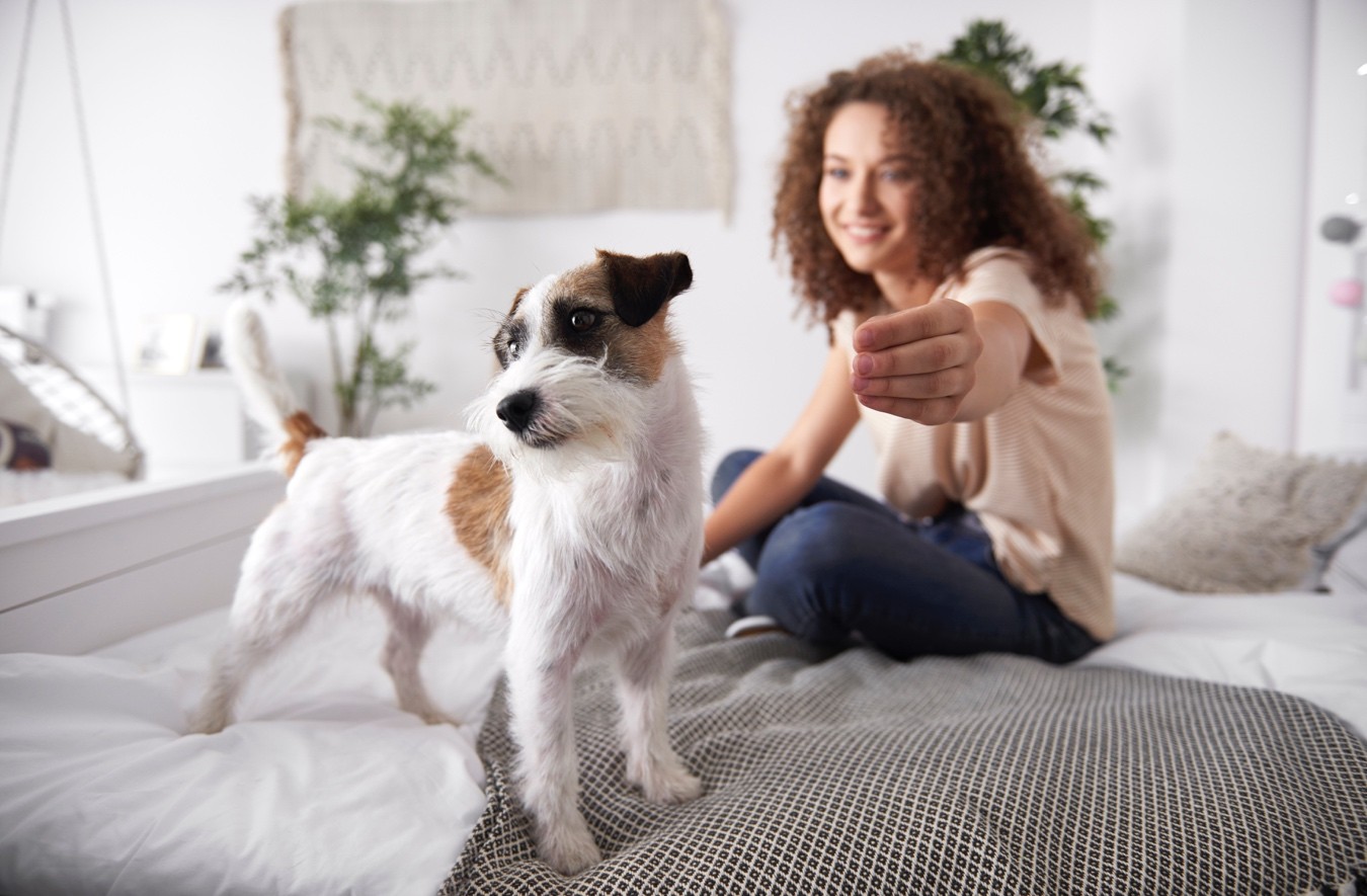 Un Espacio Pet Friendly para ti y tu Mascota